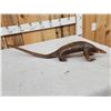 Image 11 : Super Rare African Long - Tailed Pangolin Full Body Taxidermy Mount