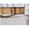 Image 2 : Super Rare African Long - Tailed Pangolin Full Body Taxidermy Mount