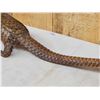 Image 3 : Super Rare African Long - Tailed Pangolin Full Body Taxidermy Mount