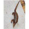 Image 9 : Super Rare African Long - Tailed Pangolin Full Body Taxidermy Mount