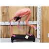 Image 1 : Chilean Flamingo Full Body Bird Taxidermy