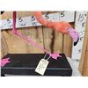 Image 2 : Chilean Flamingo Full Body Bird Taxidermy