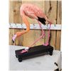 Image 4 : Chilean Flamingo Full Body Bird Taxidermy