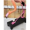 Image 5 : Chilean Flamingo Full Body Bird Taxidermy