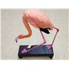Image 6 : Chilean Flamingo Full Body Bird Taxidermy