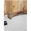 Image 8 : Spectacular Woolly Mammoth Leg Bone Fossil