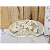 Image 1 : Cluster Of Dinosaur Bones In Matrix Fossil