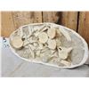 Image 4 : Cluster Of Dinosaur Bones In Matrix Fossil