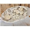 Image 5 : Cluster Of Dinosaur Bones In Matrix Fossil