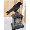 Image 5 : European Carrion Crow On An Antique Mantle Clock