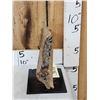 Image 2 : Ancient Woolly Rhinoceros Jaw Section With Teeth