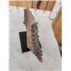 Image 4 : Ancient Woolly Rhinoceros Jaw Section With Teeth