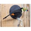 Image 5 : Keel-Billed Toucan Full Body Bird Taxidermy