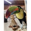 Image 7 : Keel-Billed Toucan Full Body Bird Taxidermy