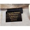 Image 3 : Ancient Auroch Femur Fossil