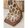 Image 8 : Spectacular Giraffe Floor Pedestal Taxidermy Mount