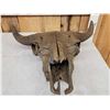 Image 4 : Ancient American Bison Buffalo Skull Fossilized Fossil
