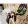 Image 7 : SUPER RARE Bird Of Paradise In Flight Bird Taxidermy