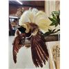 Image 8 : SUPER RARE Bird Of Paradise In Flight Bird Taxidermy