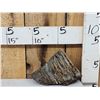 Image 1 : Ancient Woolly Mammoth Molar Fossilized Fossil