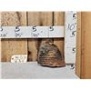 Image 5 : Woolly Mammoth Molar Fossilized Fossil