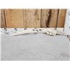 Image 1 : Gorgeous Inuit Scrimshawed Walrus Tusk Taxidermy Artwork