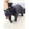 Image 13 : Absolute MONSTER Black Bear Full Body Taxidermy Mount