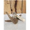 Image 3 : Baby Otter Full Body Taxidermy Mount