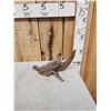 Image 5 : Baby Otter Full Body Taxidermy Mount