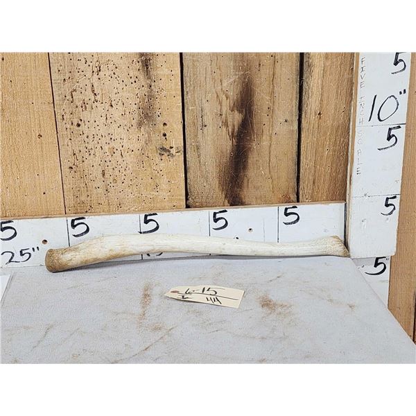 Alaskan Inuit Worked Walrus Oosik Or Penis Bone