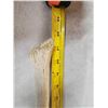 Image 6 : Alaskan Inuit Worked Walrus Oosik Or Penis Bone