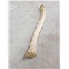 Image 7 : Alaskan Inuit Worked Walrus Oosik Or Penis Bone