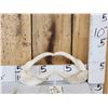 Image 1 : Mako Shark Jaws Taxidermy
