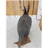 Image 4 : Helmeted Guinea Fowl Full Body Bird Taxidermy