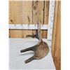 Image 11 : Ultra Rare Stag Moose Cervacles Scotti Shed Antler