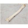 Image 4 : Alaskan Inuit Worked Walrus Oosik Or Penis Bone