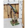Image 5 : Eastern Rosella Parrot Full Body Bird Taxidermy