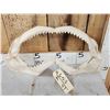 Image 2 : MONSTER Mako Shark Jaws Taxidermy