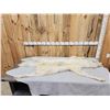Image 1 : BIG Alaskan White Wolf Soft Tanned Fur Taxidermy