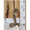 Image 1 : Diamondback Rattlesnake Full Body Taxidermy Mount