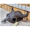 Image 2 : Ancient Partially Fossilized American Bison Buffalo Skull
