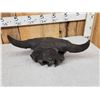Image 4 : Ancient Partially Fossilized American Bison Buffalo Skull