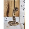 Image 1 : Diamondback Rattlesnake Full Body Taxidermy Mount