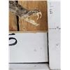 Image 3 : Diamondback Rattlesnake Full Body Taxidermy Mount