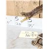 Image 5 : Diamondback Rattlesnake Full Body Taxidermy Mount