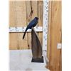 Image 6 : Rare Blue Coua Full Body Bird Taxidermy
