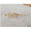 Image 7 : Professionally Articulated Armadillo Skelton Taxidermy