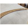Image 6 : Woolly Mammoth Rib Bone Partially Fossilized