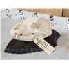 Image 3 : Black Bear Skull On Plaque Taxidermy