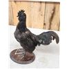 Image 4 : Ayam Cemani Black Rooster Chicken Full Body Bird Taxidermy